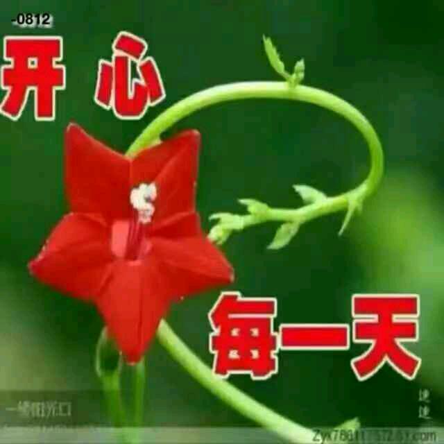 心语心愿