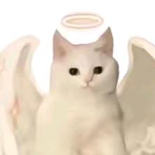 皖惜:-)嘻嘻www.头像