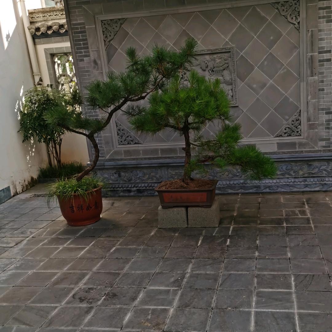 华仔哥