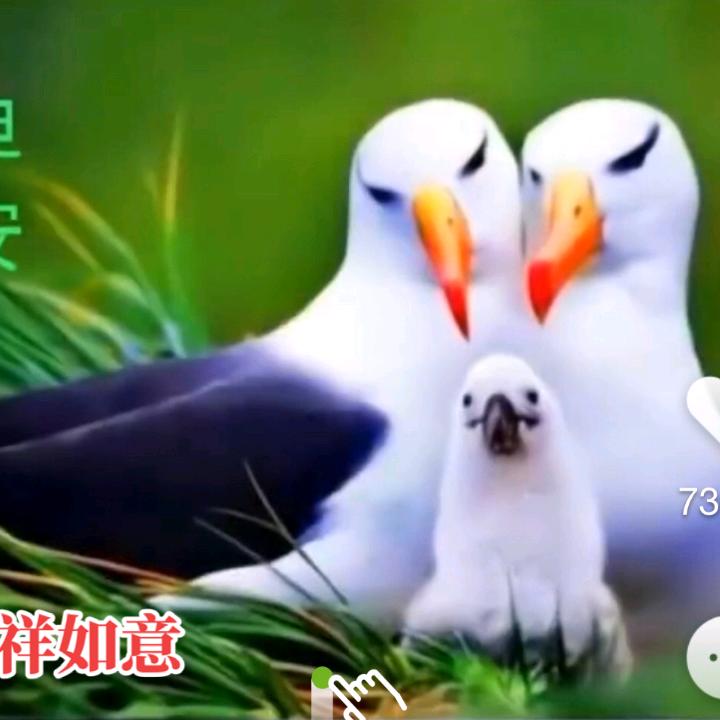 平民百姓