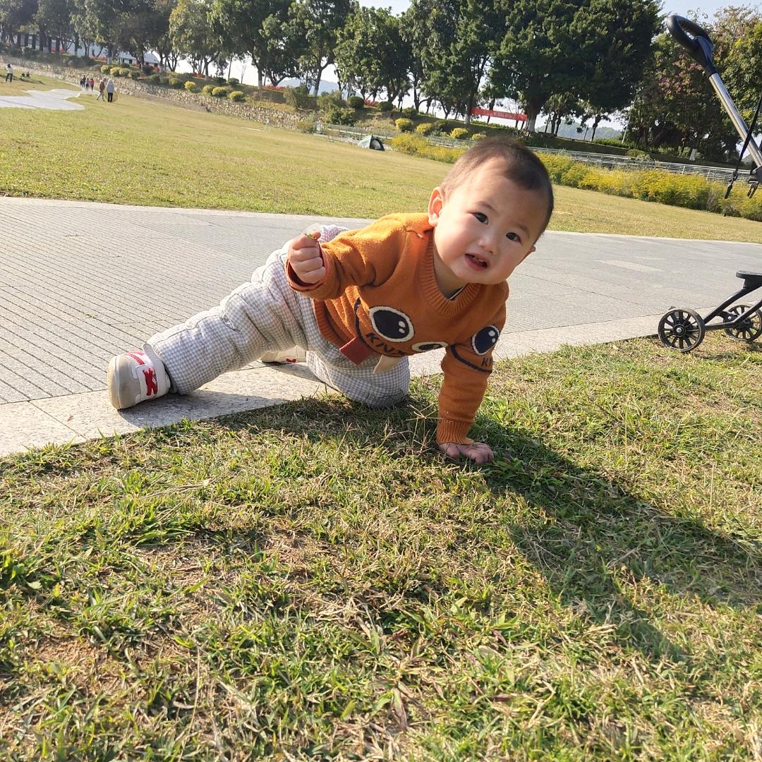 牛兜兜