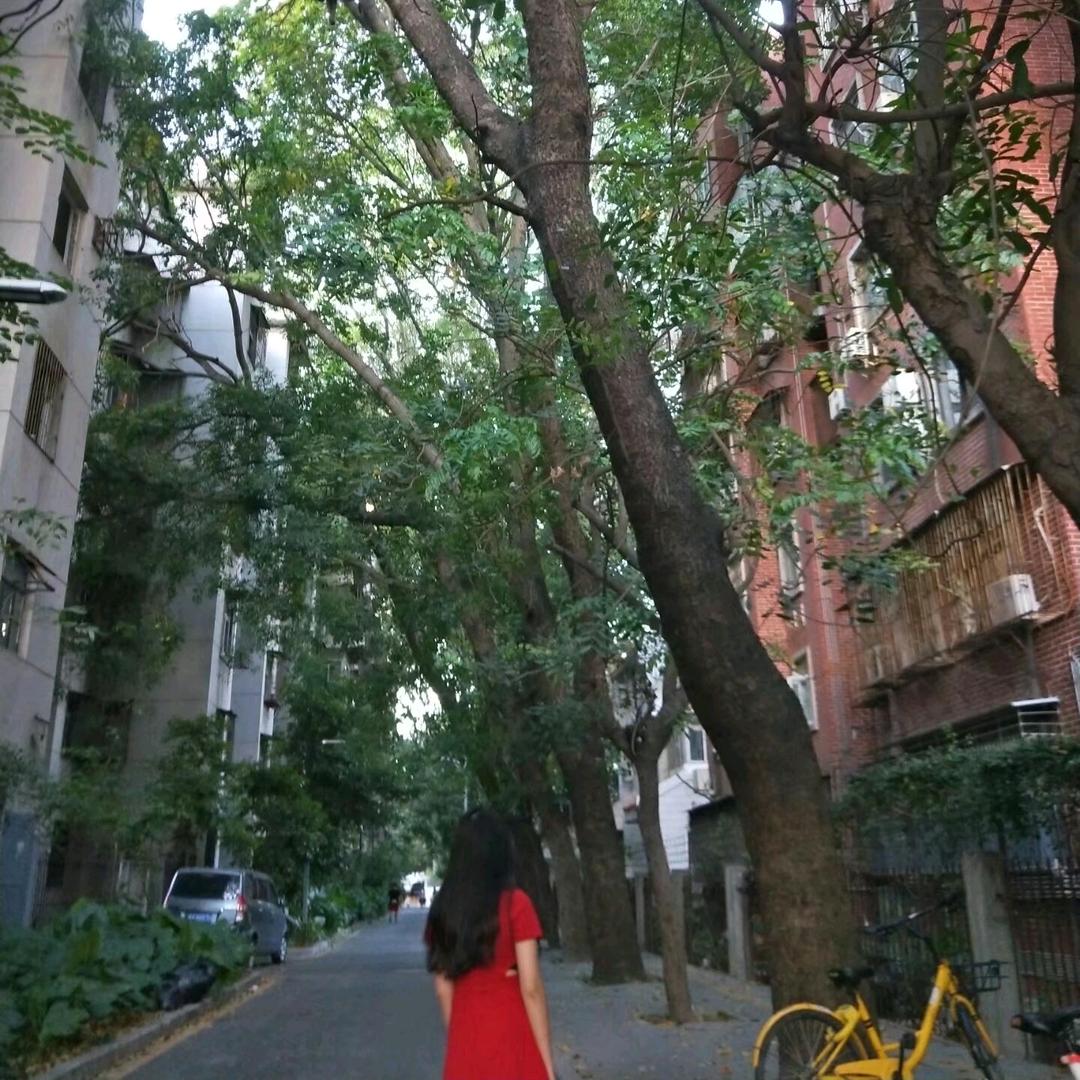 小橘子