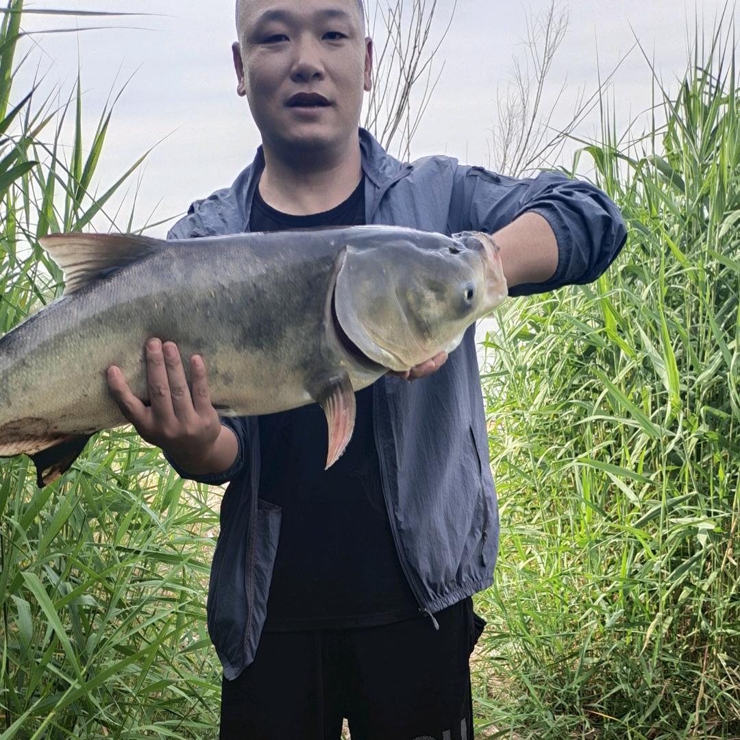 士岭牛肉汤（大彦盛昌店）