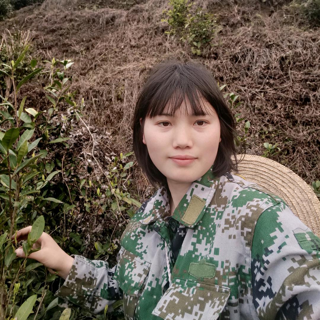 打不倒的姑娘