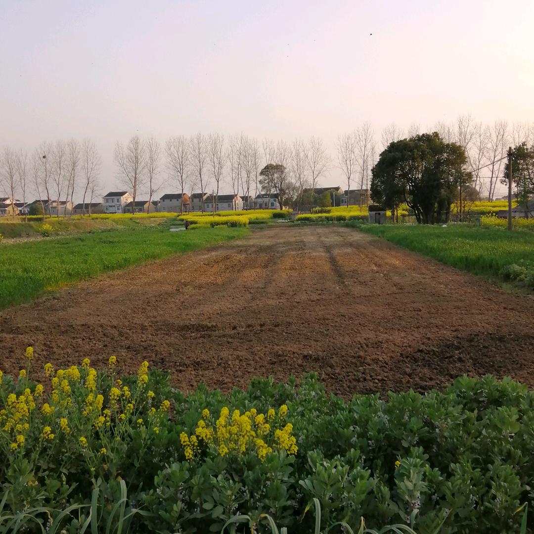 勇闯天涯（新农人）