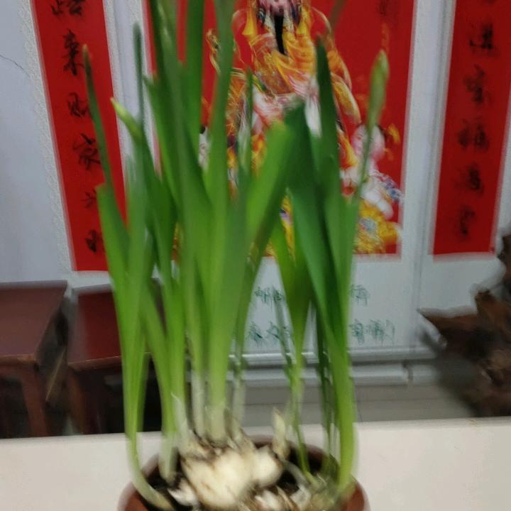 进入春天