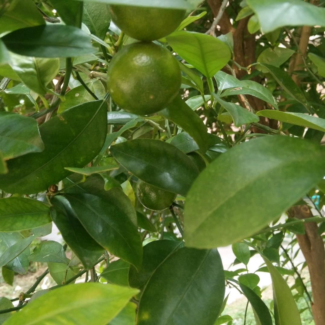 微笑可以掩饰一切