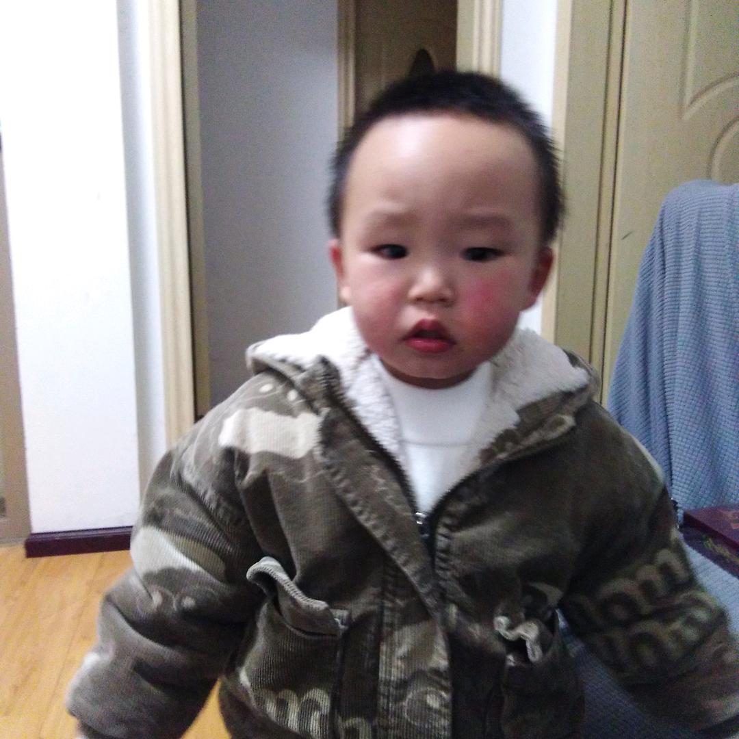 陈子墨