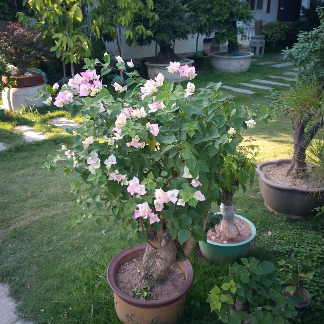 用户433199朱文宝