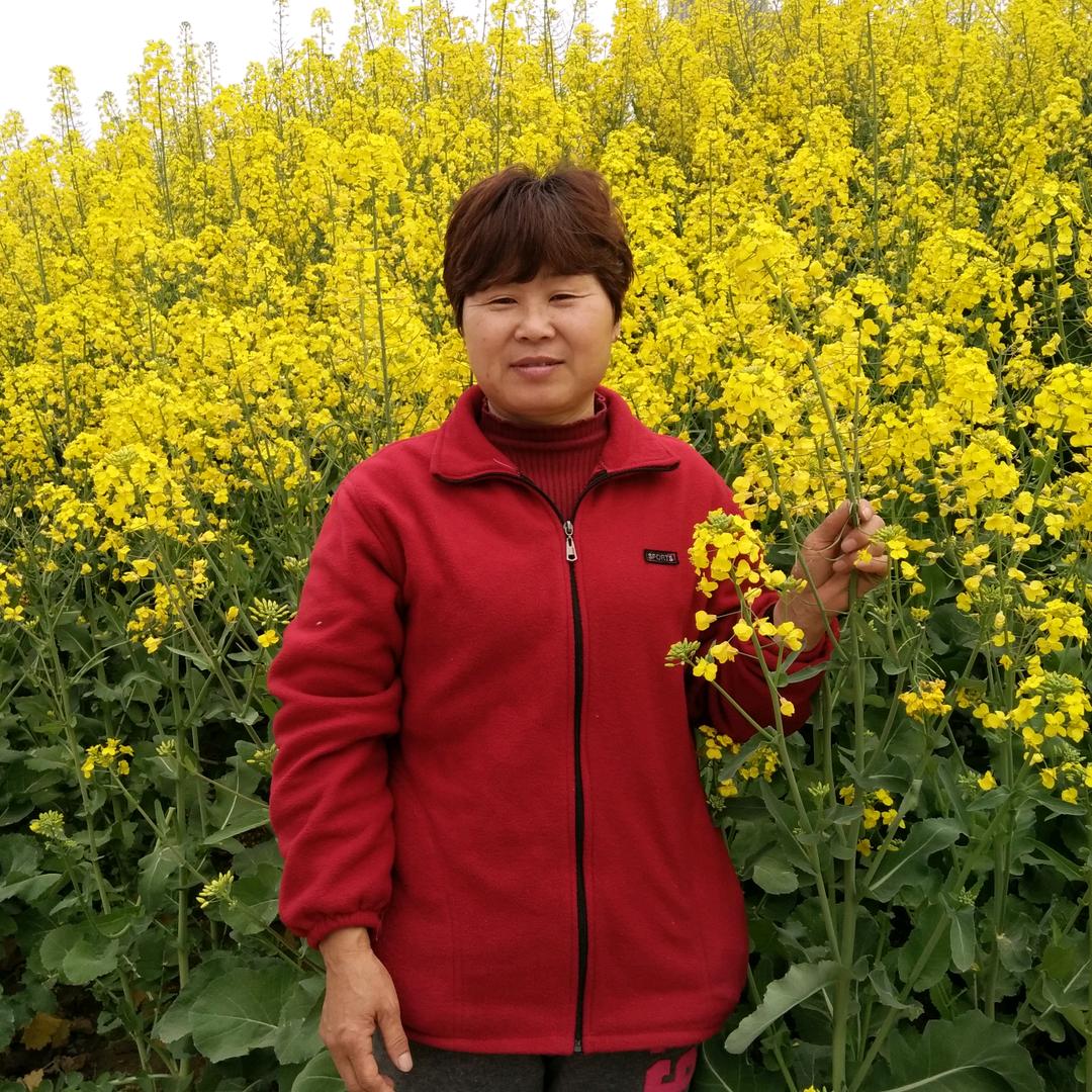 李平