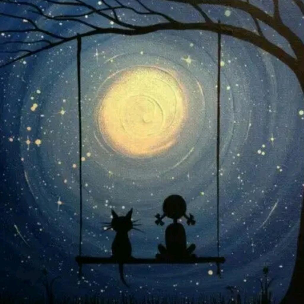 小🌟🌟