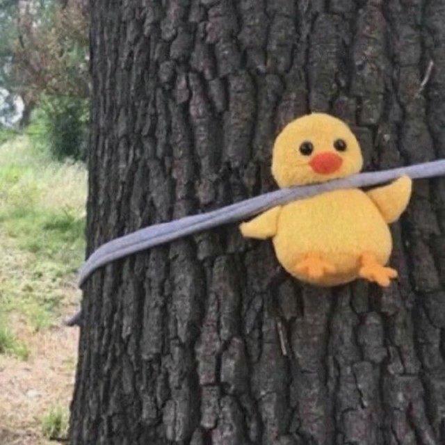 啊人小火{睡觉版}