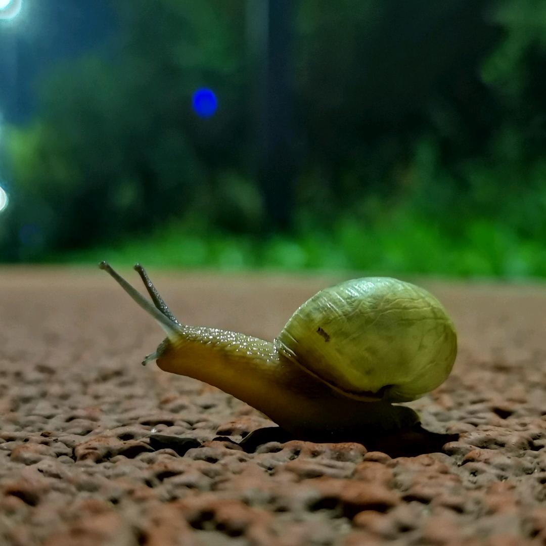 杨凌新思艺广告