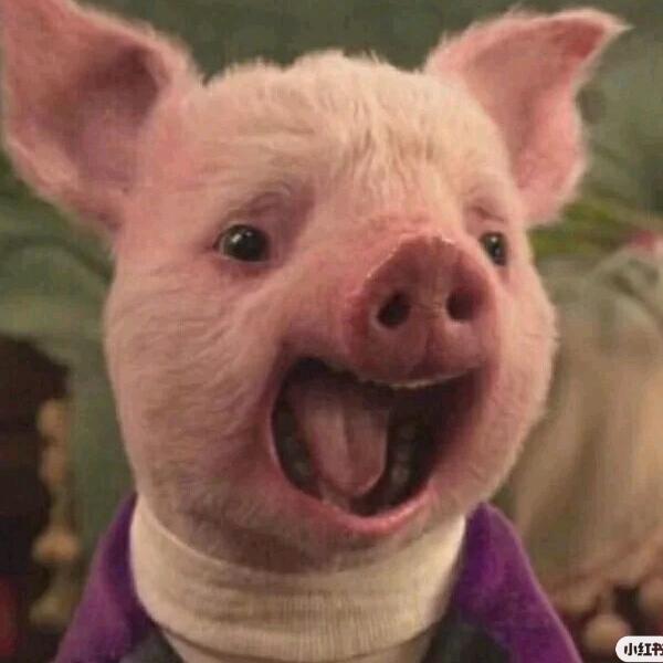 🌈人情炎凉🌈