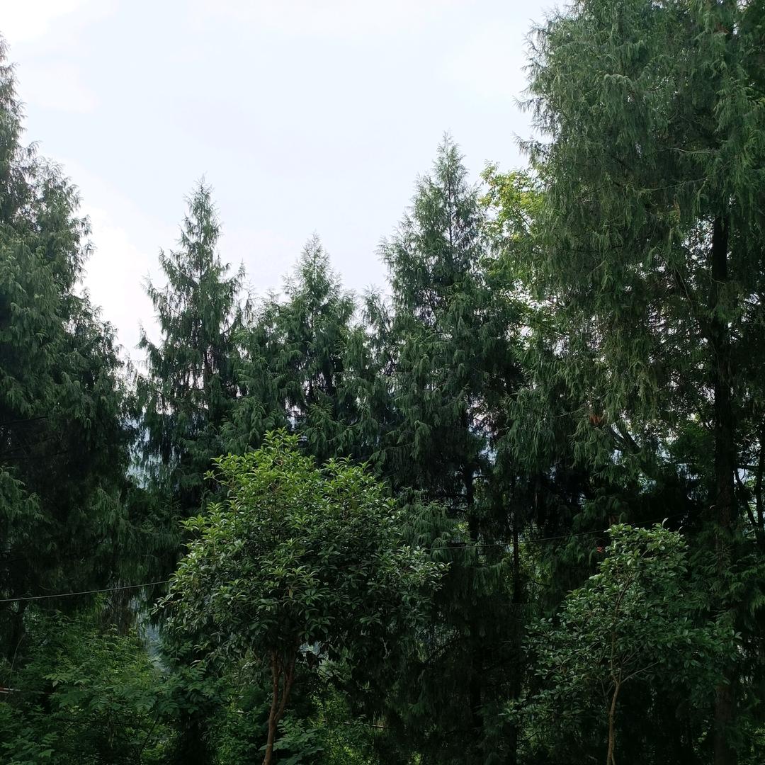 💜💛回忆💛💜