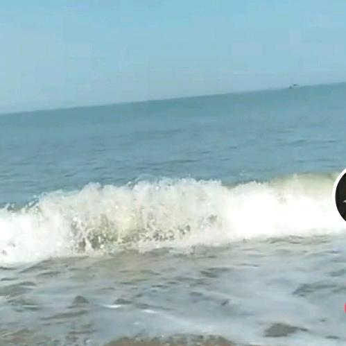 杨健