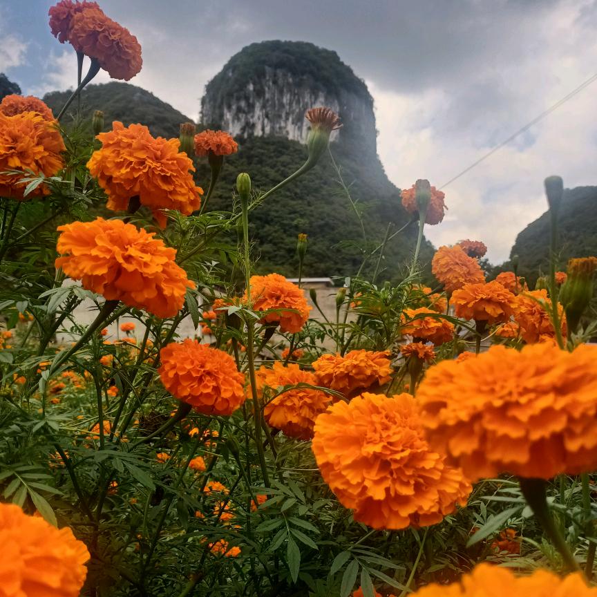 长短途包车服务.代驾小李