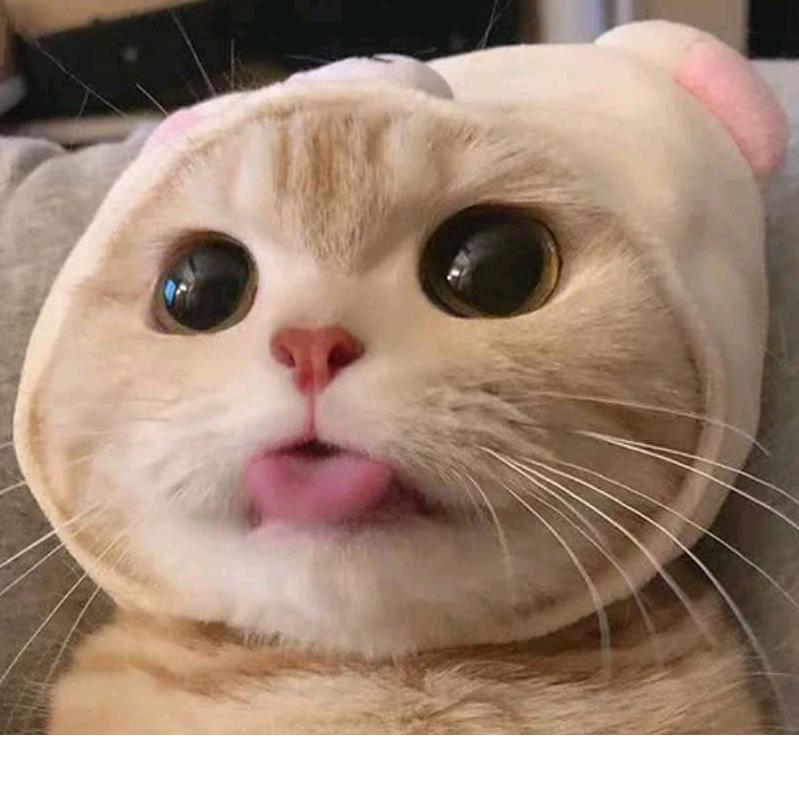 乐家人？？？