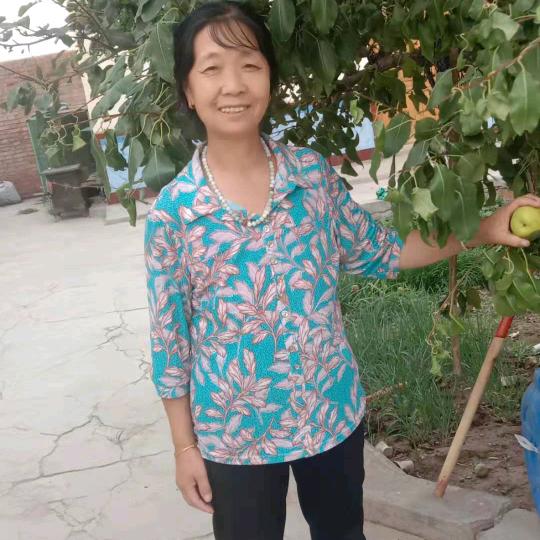 李自秀