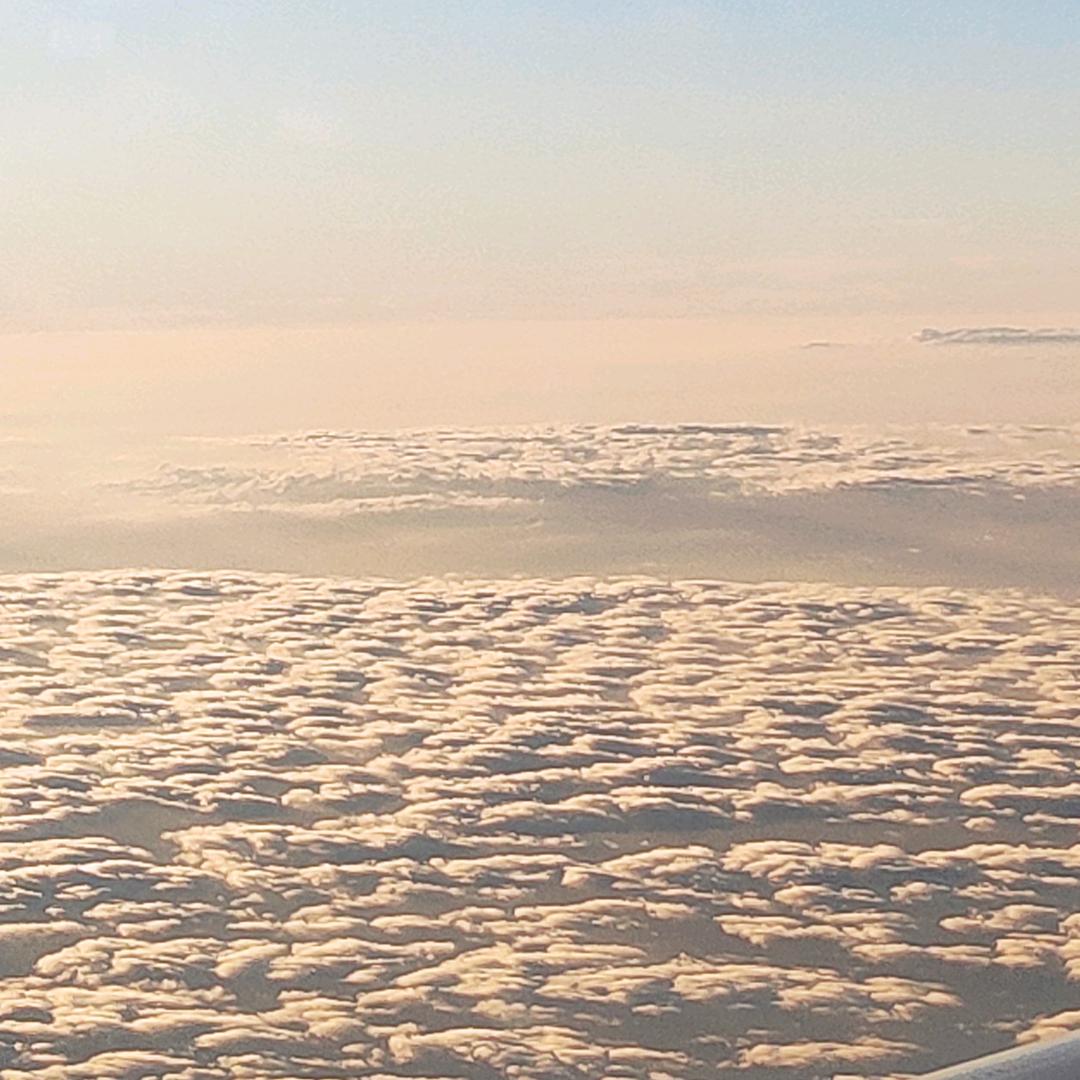 X得嘞ꪶꪮꪰꪤꫀ⁵²°