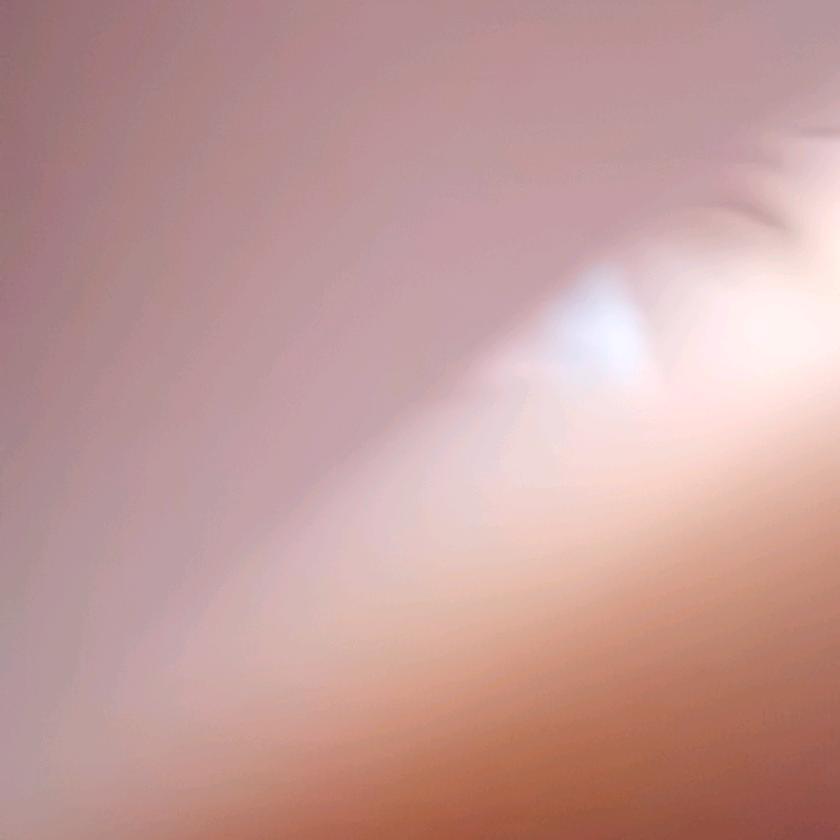 大鲅鱼
