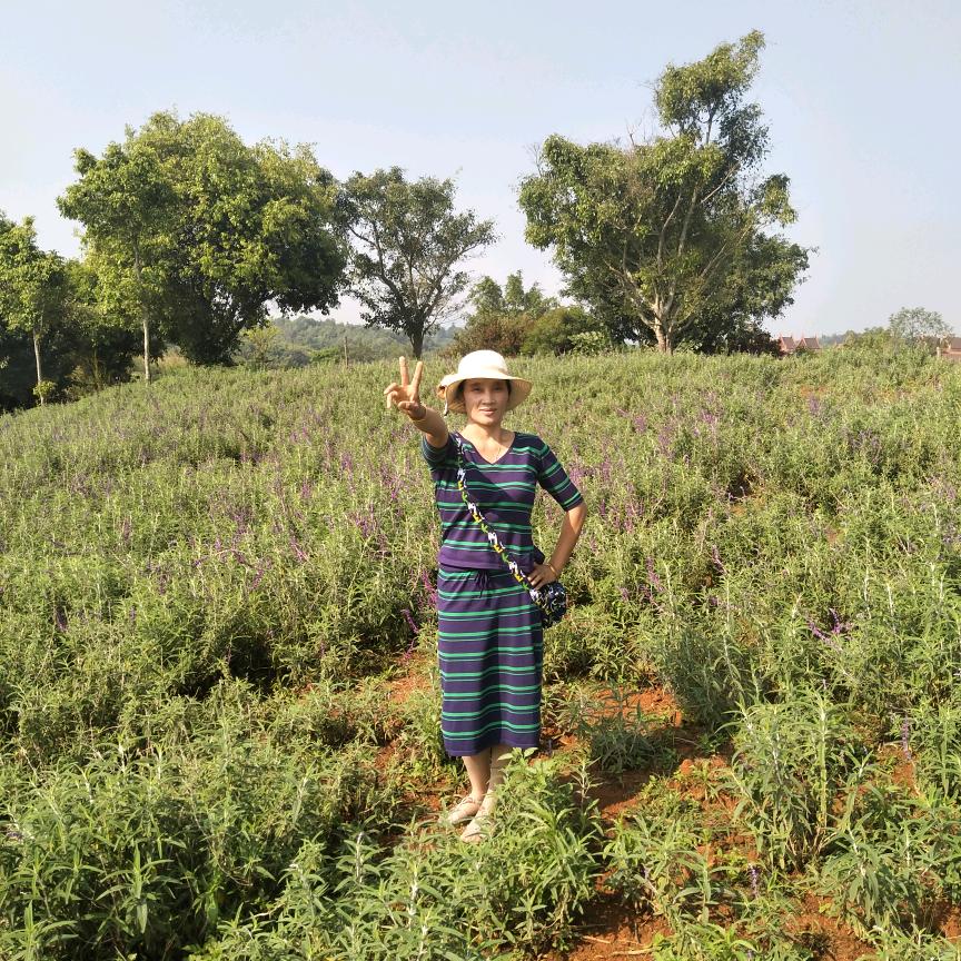 忘记过去的所有