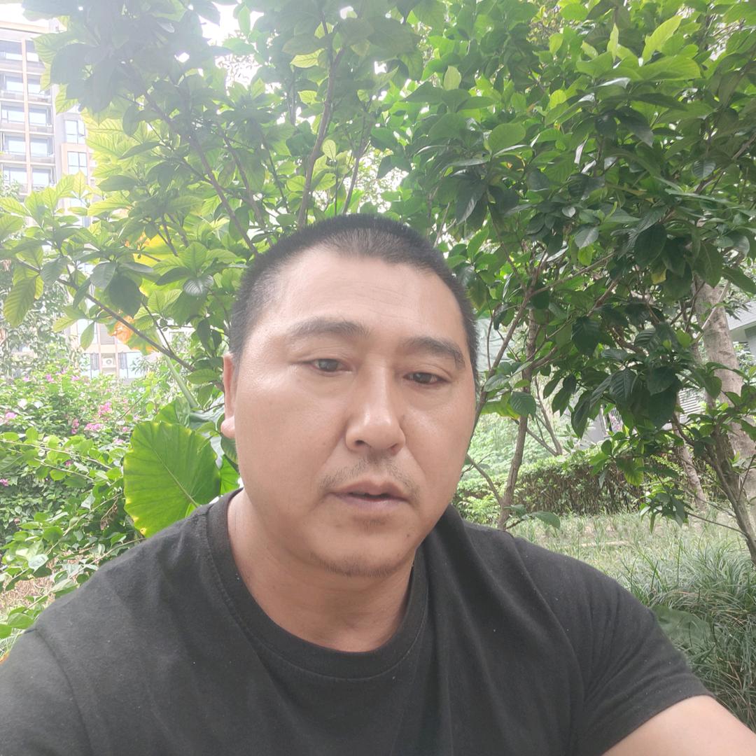 张师拉建渣木地板拦木材树丫丫