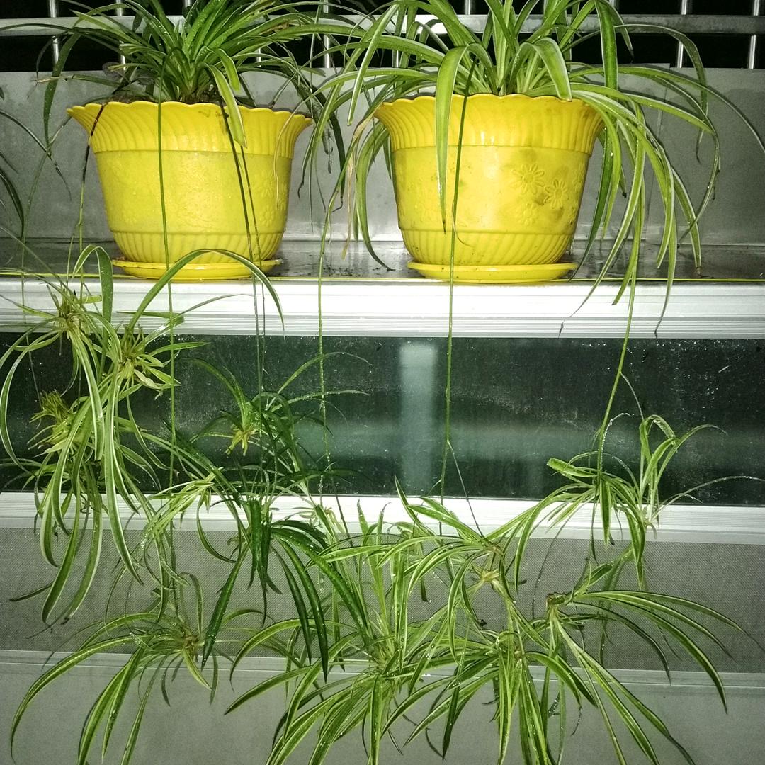 开心每一天❤️❤️