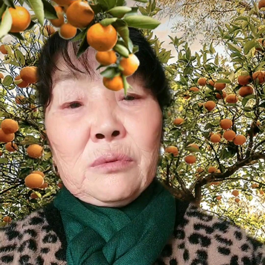 赵.