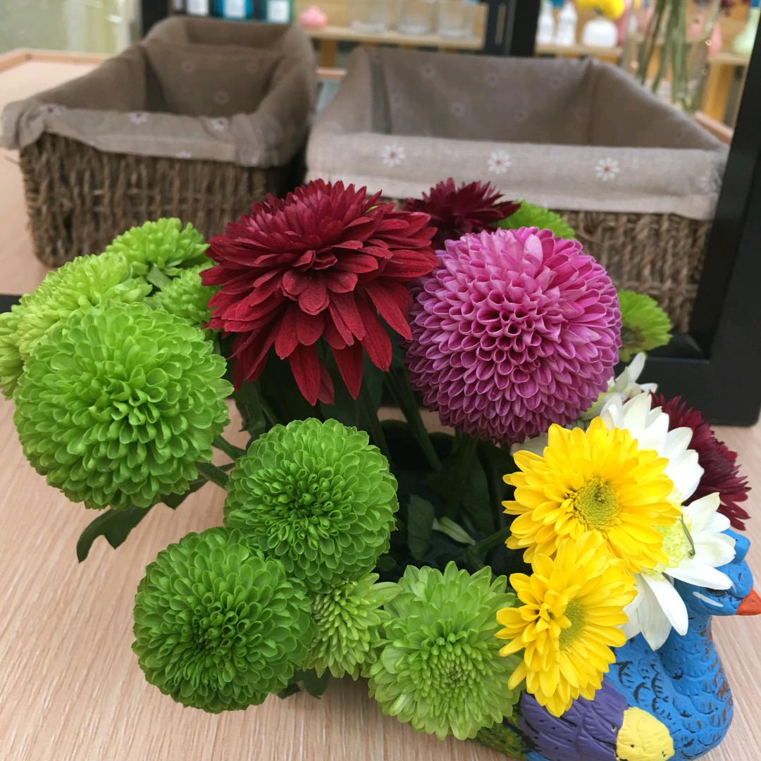 西门翠花  瑜纲涂料