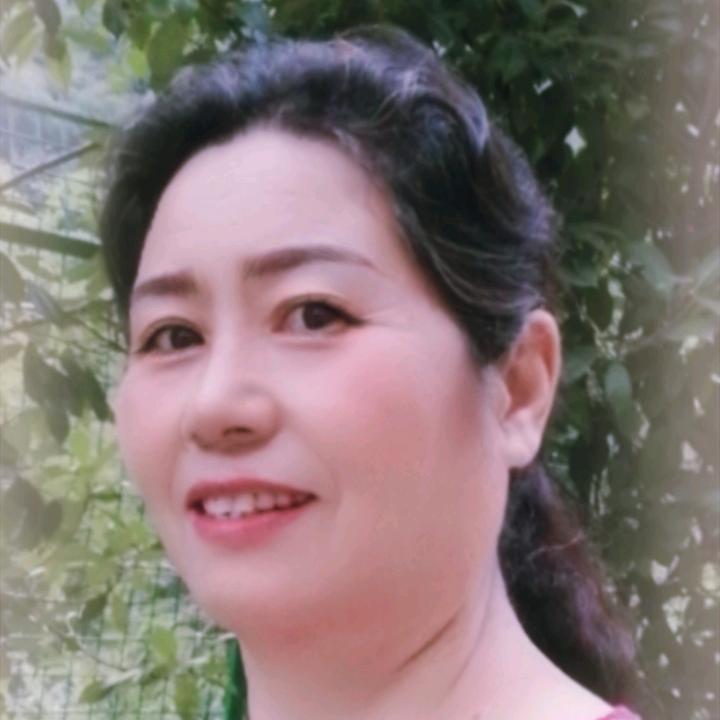 石凤琴