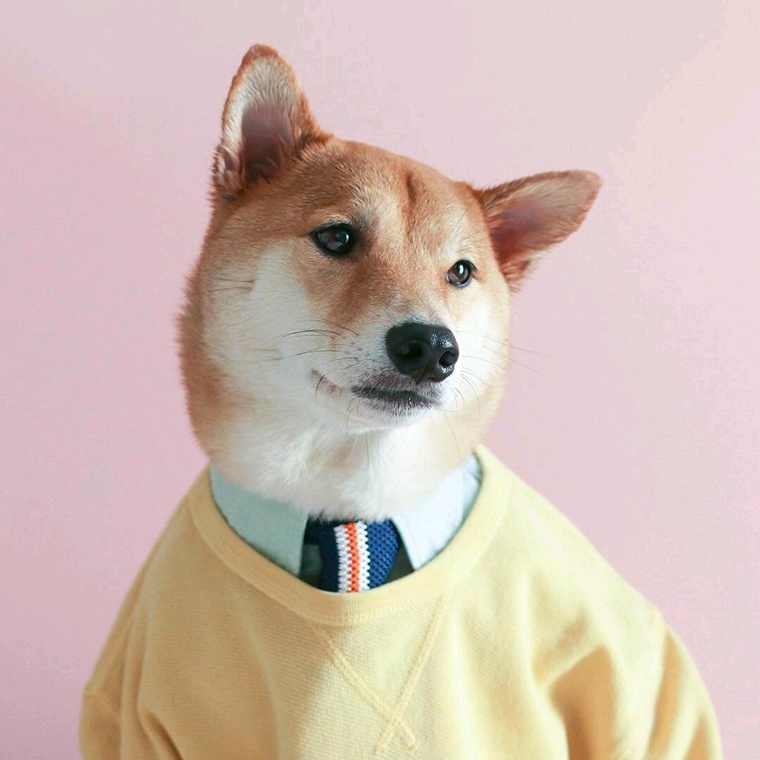 白纸头像