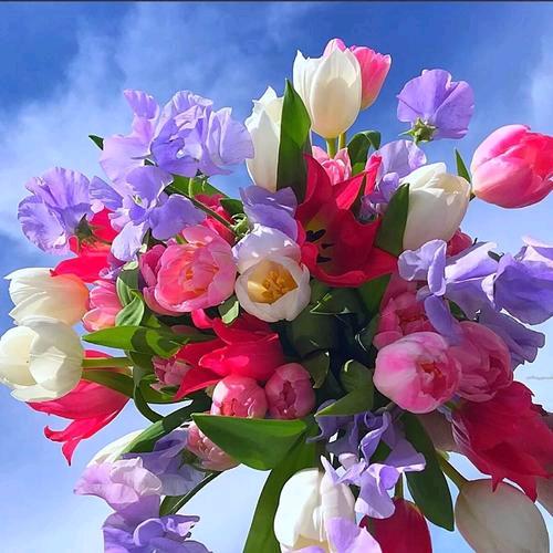 兜兜转转🌹🌹