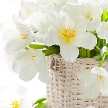 @爱你🇨🇳🇨🇳🇨🇳🇨🇳