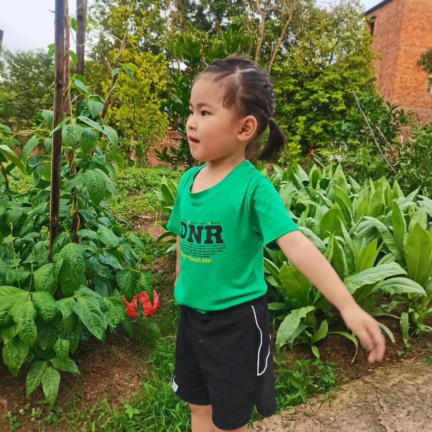 陈大当家