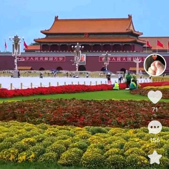 王哥很帅，美女都爱