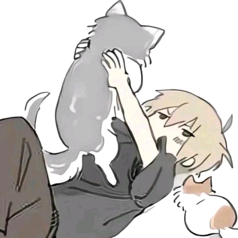 苏沐秋