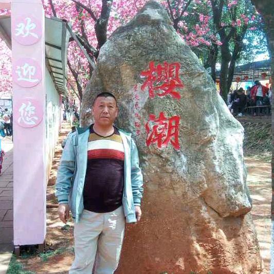 轿车全国托运