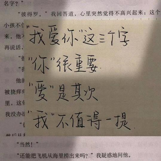 等花落，等风来，等相遇。