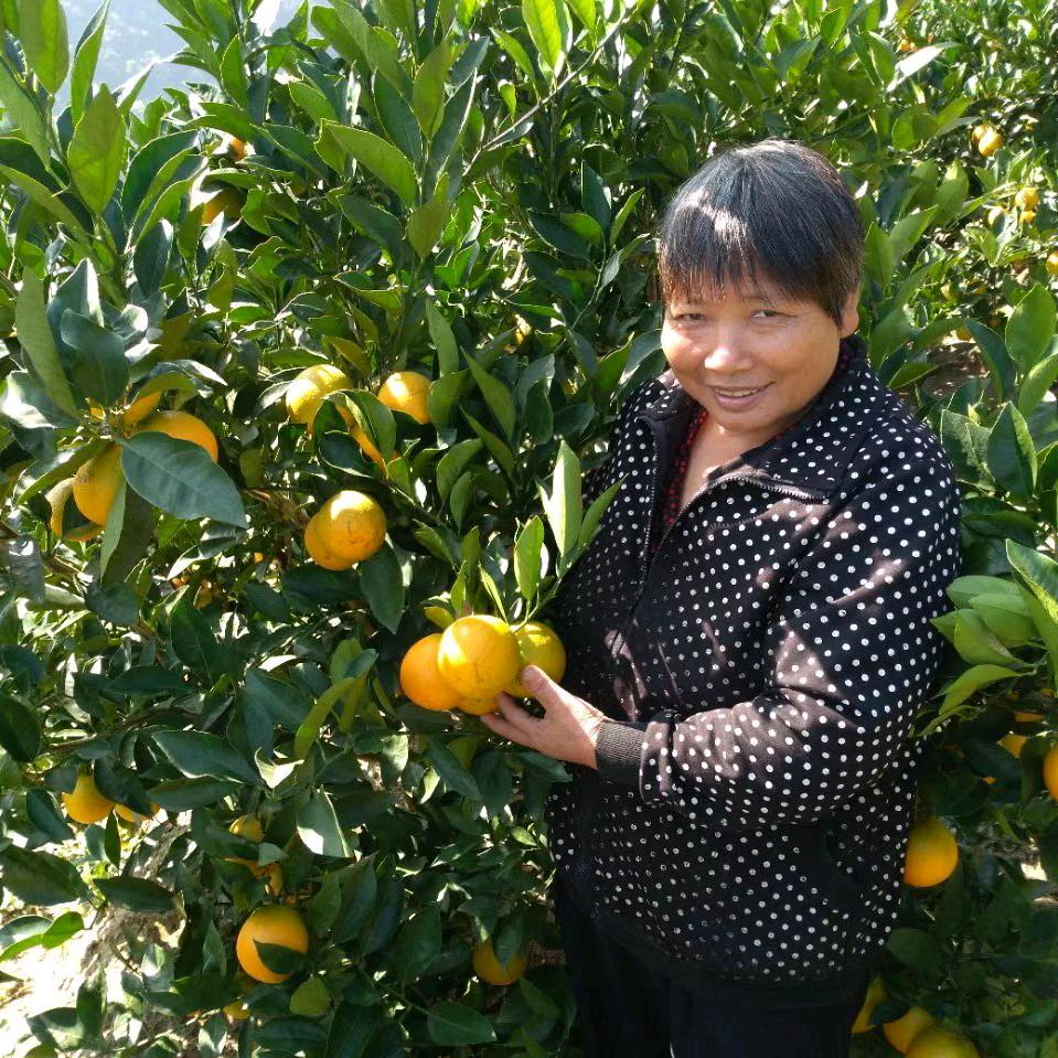 美贞果业