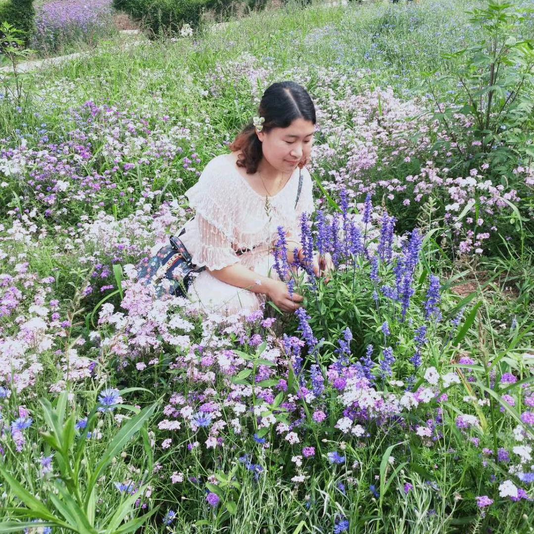 思若枫叶愁