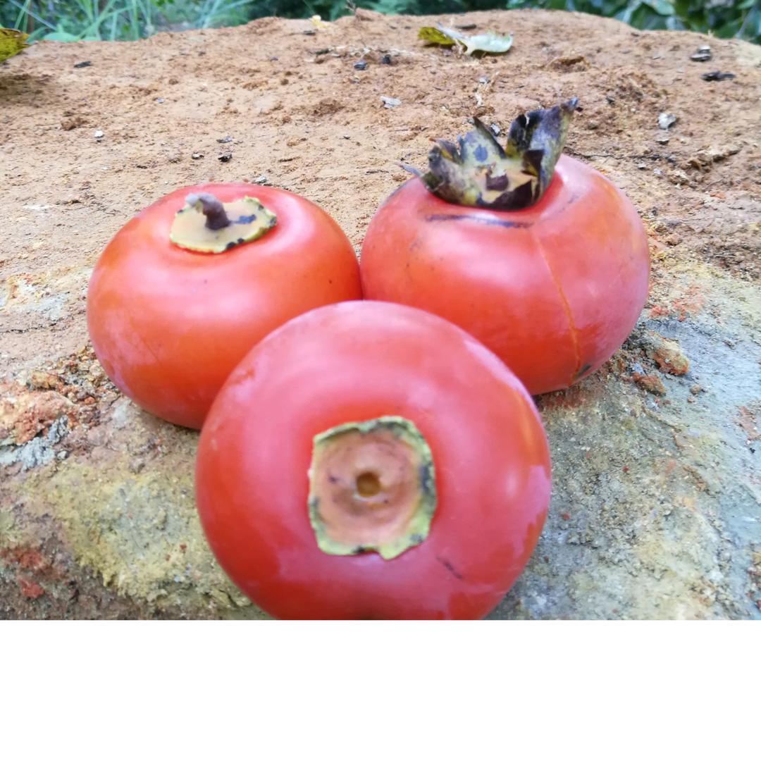 有你的时光最美