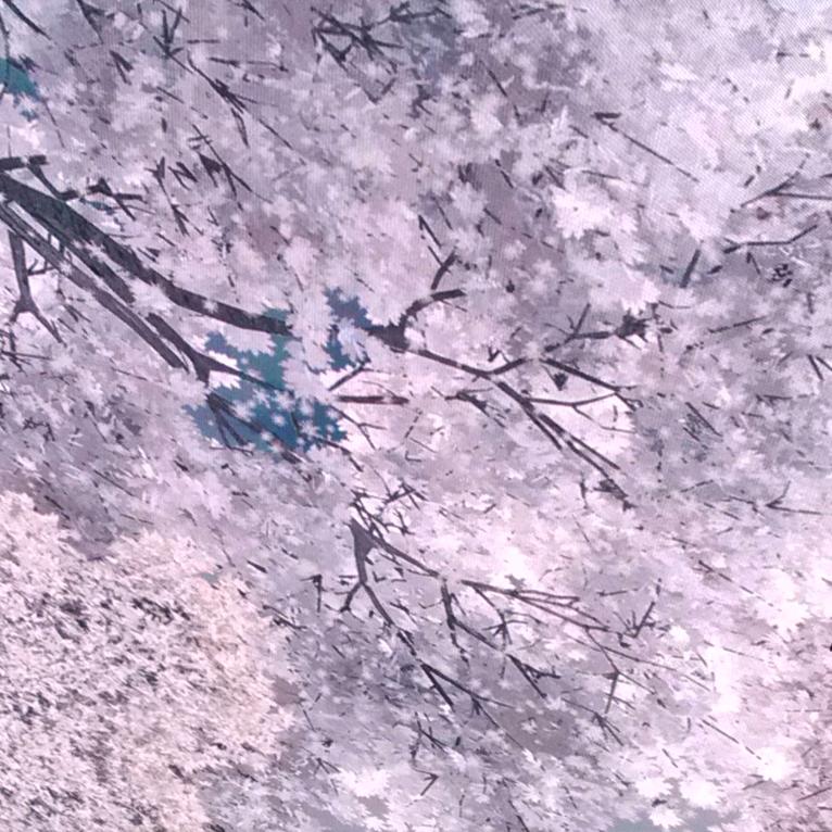 美缝小赵（美缝剂，环氧彩砂）