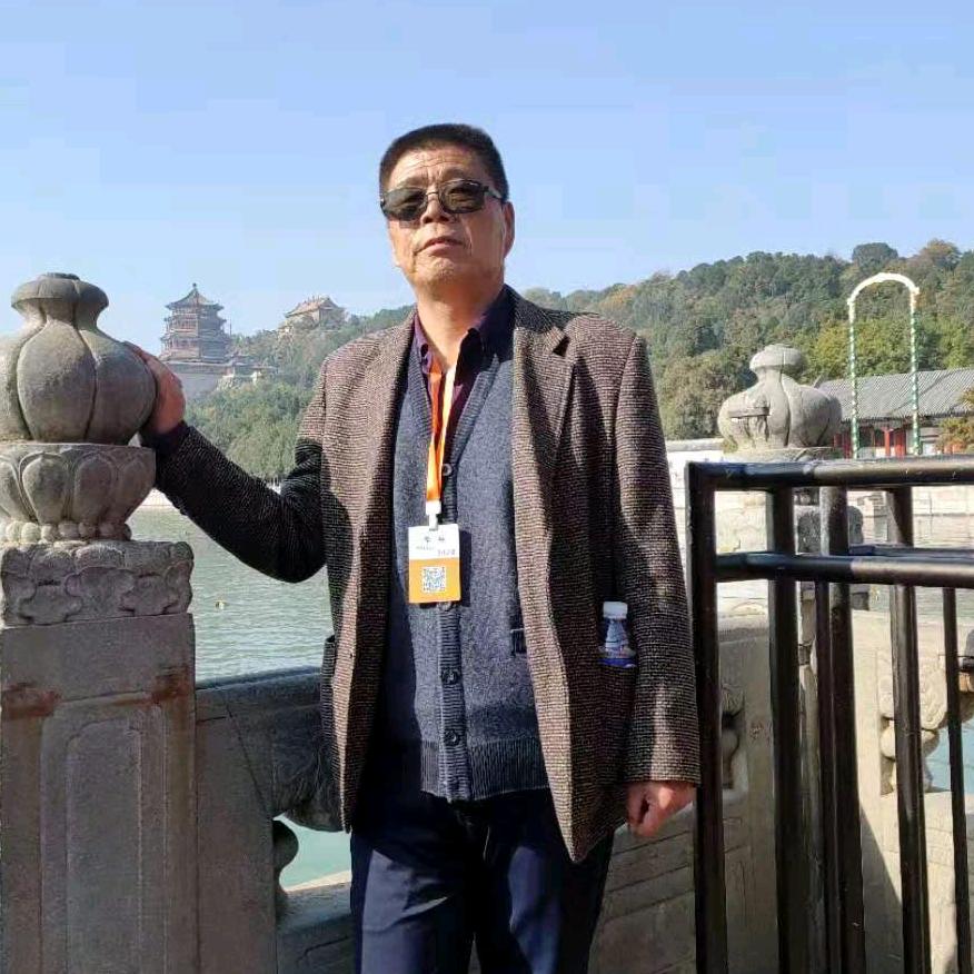 森林简单
