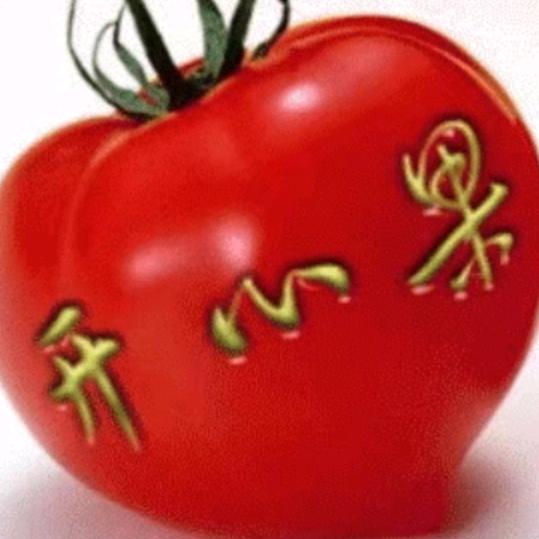 开心每一天🌹♥️💃