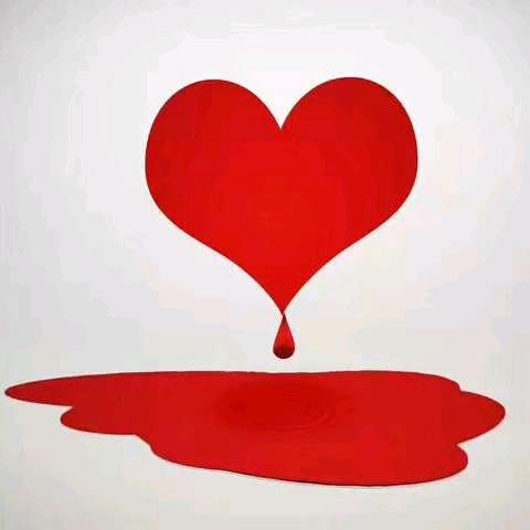 老默，我想吃鱼