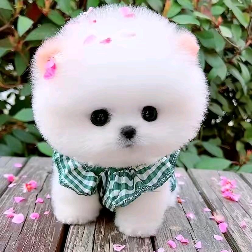 春秋阁童装