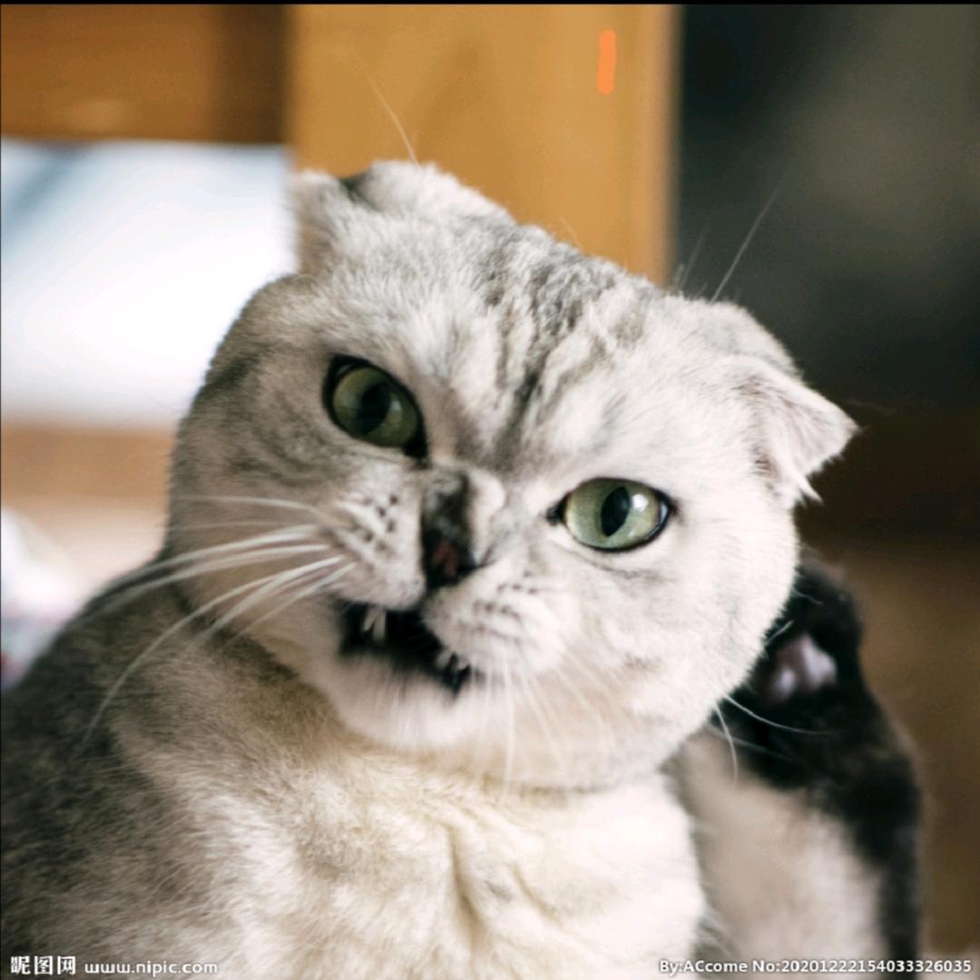 ٩(๑•̀ω•́๑)۶C