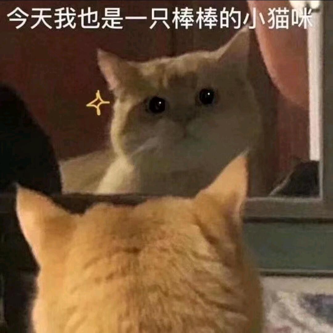 小小萱