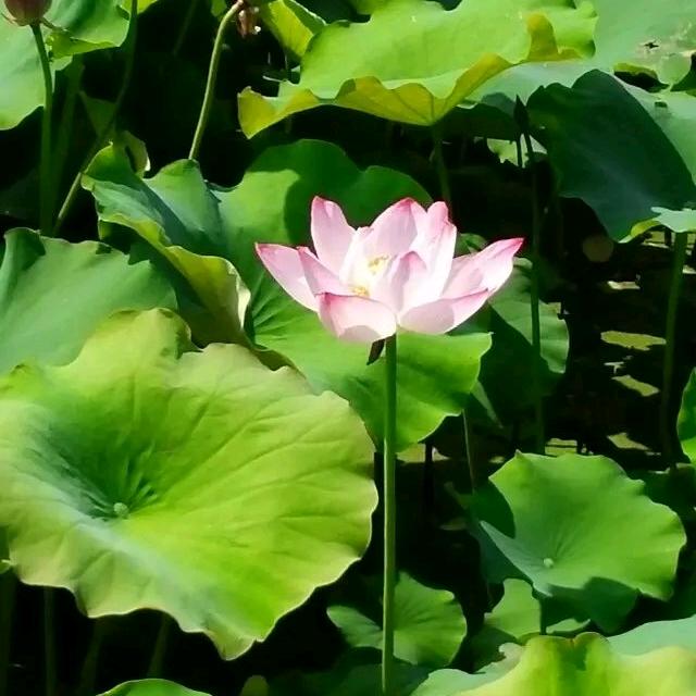 🌈🌈🌈🌈ʕ•̫͡•ʔ❤沉默❤